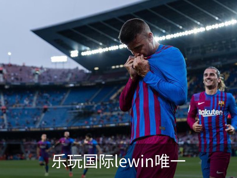 乐玩国际lewin唯一概况